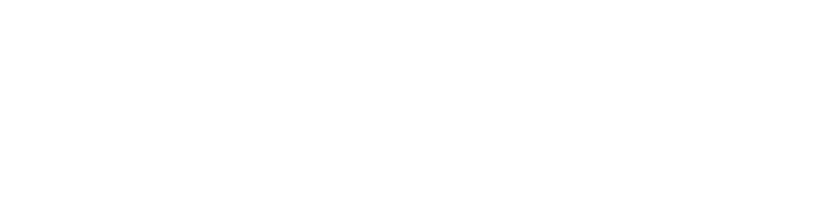 Werd I/O
