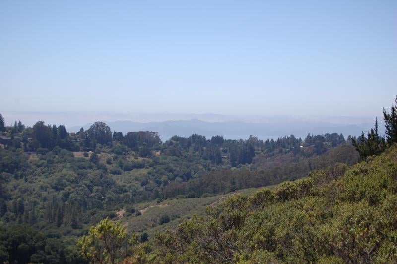 The bay