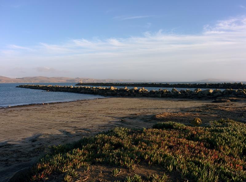 Bodega Bay
