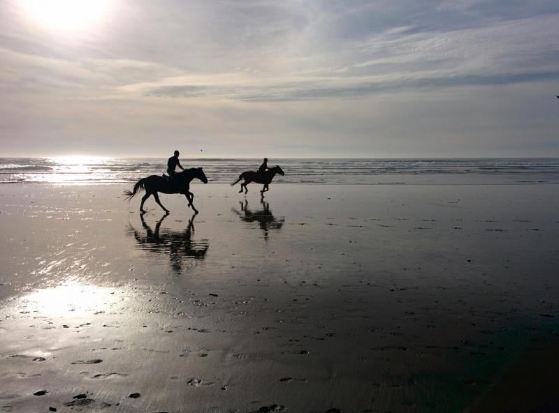 Just another day on Ocean Beach.