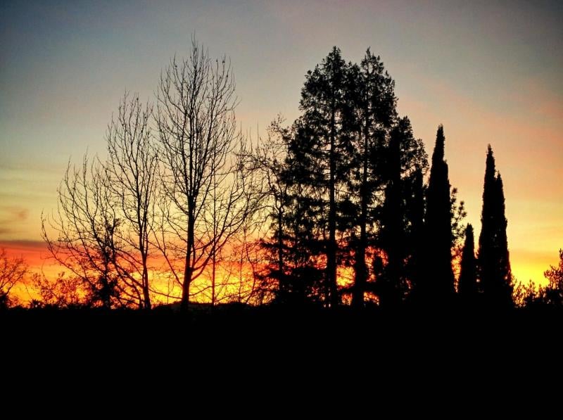 Santa Rosa sunset. It's so peaceful out here.