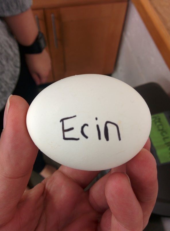 Publish On Your Own Egg, Crack Everywhere