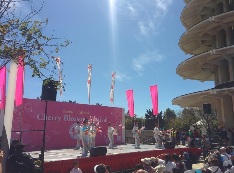 Cherry blossom dance