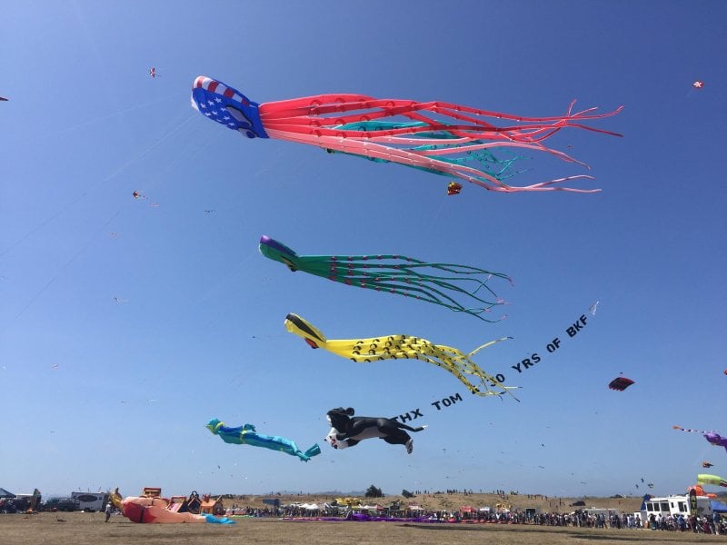 I, for one, welcome our new patriotic sky squid overlords