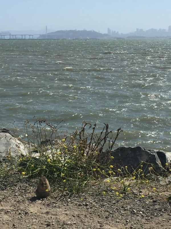 A San Francisco treat. 