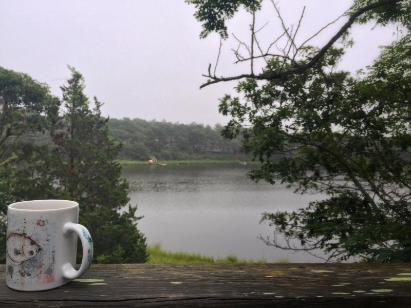Enjoying my morning coffee. 