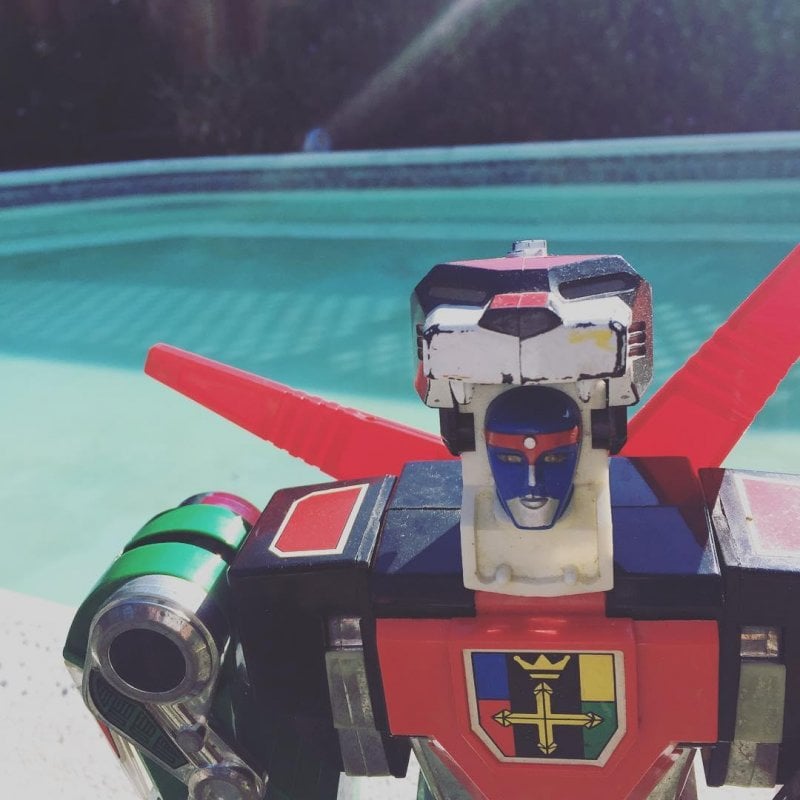 Pool day for Voltron