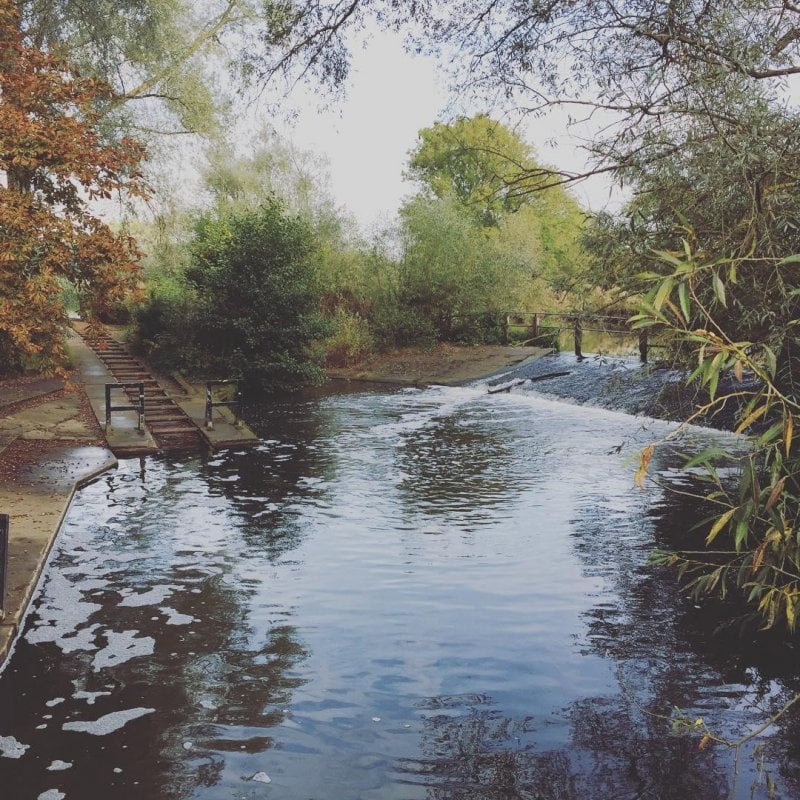 For years this was my walk to work every day, through parks and over rivers. The rollers here are so that punts - long, flat boats you push with a pole - can pass through.