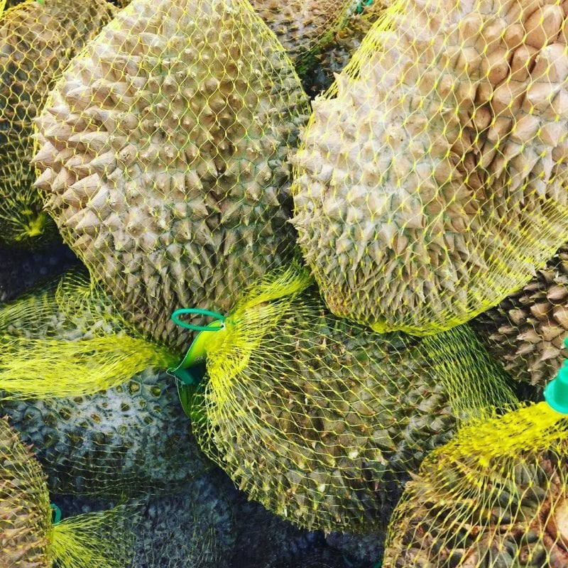 Durian bomb