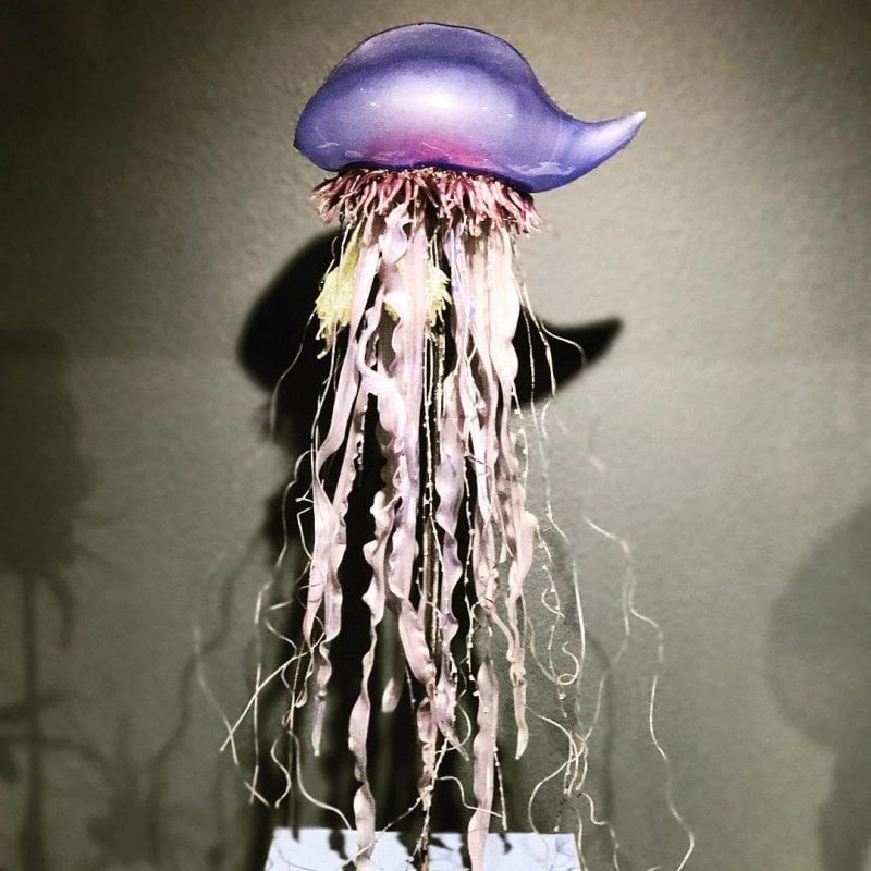 Glass jellyfish 