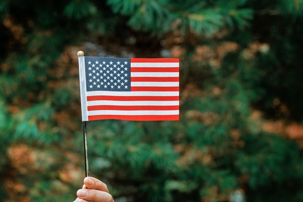 A hand waving a dinky little American flag