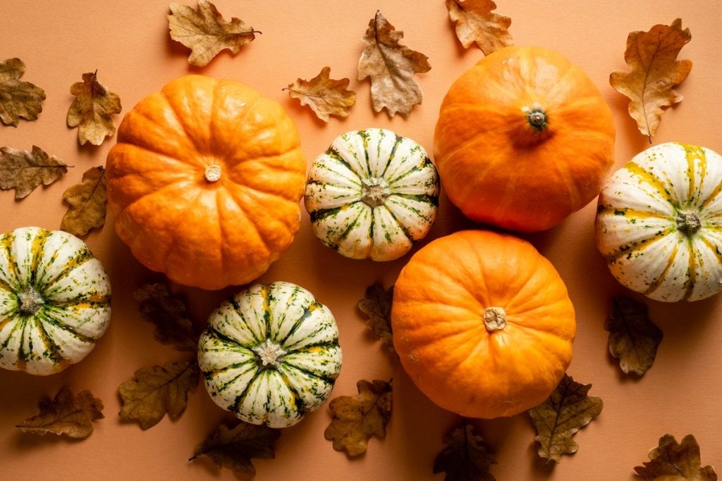 Fall pumpkins